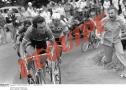 gal/Suite_Tour_de_France_2006/_thb_Tour de France 2006 871.jpg